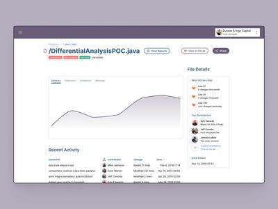 File screen shows commit details and insights on the file over time. Issues or notes could be auto-tagged or manually tagged. These examples are things Professional Services might typically point out to clients.